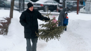Стало известно, когда россияне собираются выбрасывать елки после праздника