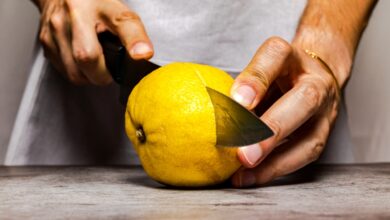 Кислый вид: почему шефы не могут обойтись без лимонов