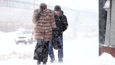 В Москве и Подмосковье объявлен «желтый» уровень погодной опасности в выходные