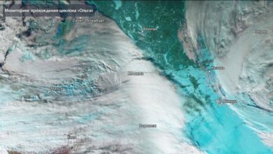 В «Роскосмосе» показали спутниковый снимок циклона «Ольга»