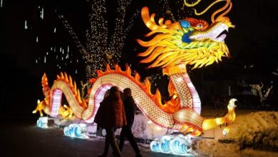 Свет с Востока: в Москве встретили китайский Новый год