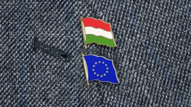 Советник Орбана подтвердил угрозы Венгрии со стороны ЕС из-за Украины