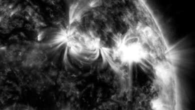 Ученый предупредил о повышенной магнитной активности после вспышки на Солнце