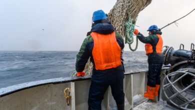 Держава рыбарей: как соглашение ВТО о незаконной ловле повлияет на российский промысел