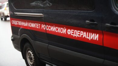 В Подмосковье возбудили дело по факту избиения Героя России