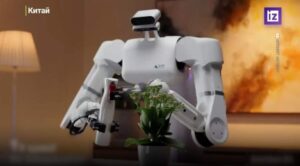 В Китае создали робота-дворецкого